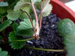 DSC02789.JPG