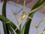 24-06-07_1017.jpg