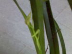 24-06-07_1018.jpg