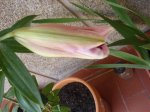 DSC00748.jpg