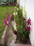 Jardin taller.jpg