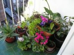 balcon1.jpg