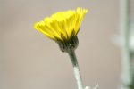 desconocida_IMG_2566.jpg