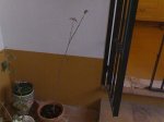 28062007049.jpg