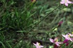 desconocida_IMG_4298.jpg