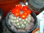 IMAG0296.JPG
