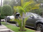 PICT4325.jpg