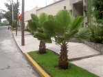 PICT4323.jpg