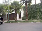PICT4322.jpg