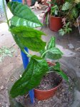 DSC01659.jpg