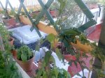Imagen045.jpg