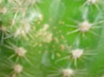 Imagen 009.jpg