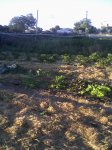 vista huerto.jpg