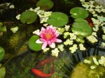 DSC00573.jpg