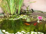 DSC00578.jpg