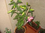 DSC00773.jpg