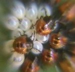 Imagen_0361.jpg
