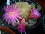 IMAG0369.JPG