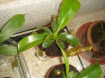 FOTOS 005.jpg