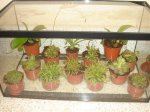 FOTOS 015.jpg