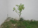fOTO 3.JPG