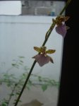 DSC01889.JPG