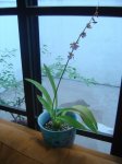 DSC01891.JPG