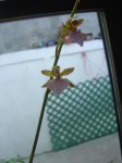 DSC01890.JPG