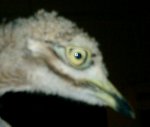 CIMG0014.jpg