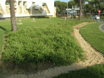 DSCN7820.gif