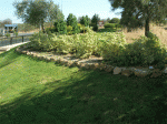 DSCN7904.gif