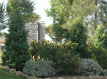 DSCN7907.gif