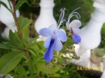 100_3590.jpg