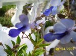 100_3591.jpg