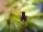 DSC03201.jpg