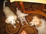 100_0009.JPG