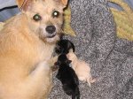 100_0022.jpg