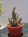 Picture%20039.jpg