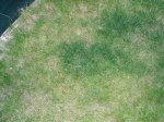 P7100010.jpg