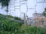 infojardin 019.jpg
