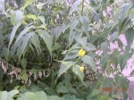 DSCN6762.jpg