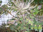 100_3929.jpg