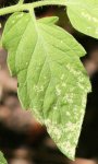 IMG_1883.jpg