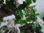 DSC04604.jpg