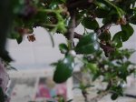 DSC04605.jpg
