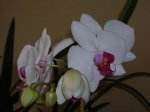 DSCN3384.JPG