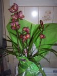 100_1624.jpg