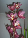 100_1639.jpg
