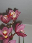 100_1628.jpg