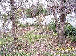 100_3940.jpg